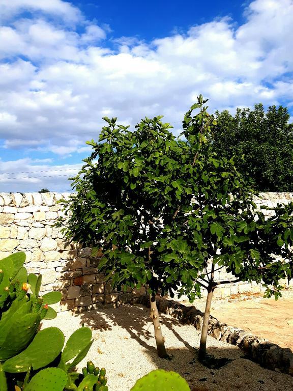Masseria Ciancio Casa Serrafiori Exterior photo